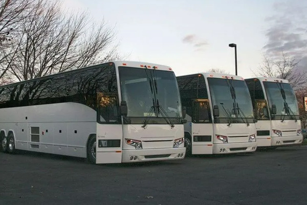 A row of buses parked in a Maryland lot for charter services