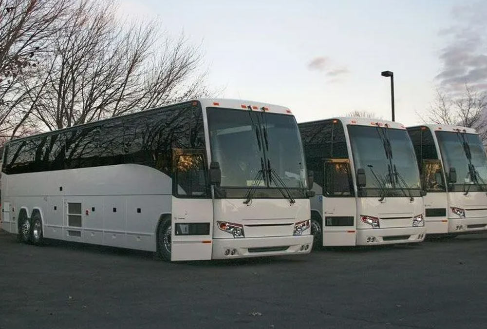 A bus parked near a tree in a Virginia lot for rental services